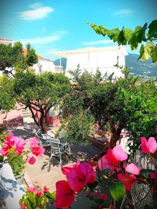 Villa Duka'S Gardenhouse Città di Skopelos Esterno foto