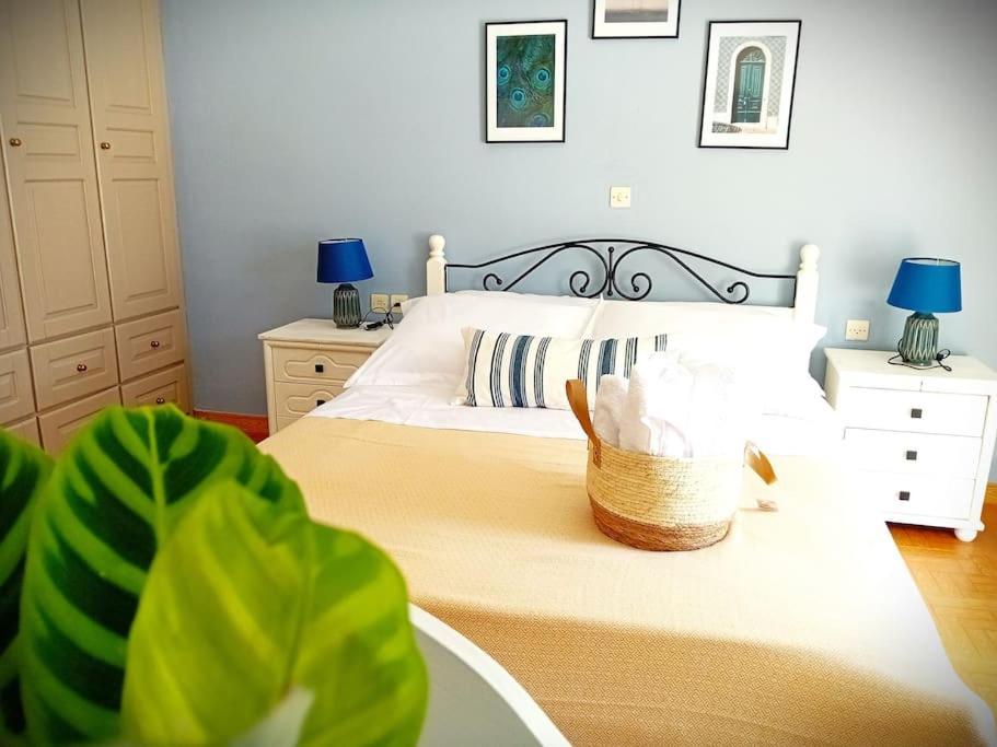 Villa Duka'S Gardenhouse Città di Skopelos Esterno foto