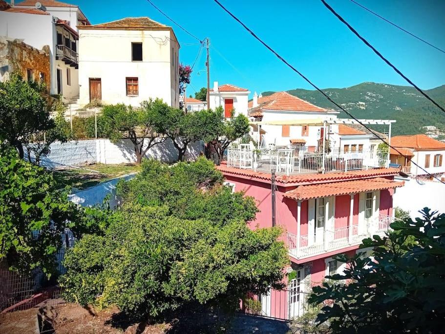 Villa Duka'S Gardenhouse Città di Skopelos Esterno foto